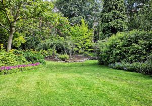 Optimiser l'expérience du jardin à Tendon